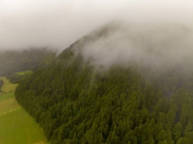 Flores Adası, Azores Takımadası, Portekiz 'deki Volkan Gölü Lagoa Rasa çevresindeki hava manzarası.