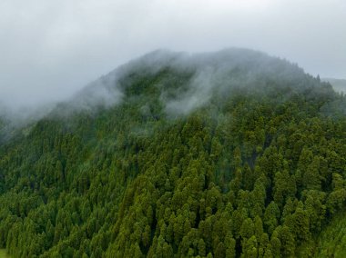 Flores Adası, Azores Takımadası, Portekiz 'deki Volkan Gölü Lagoa Rasa çevresindeki hava manzarası.