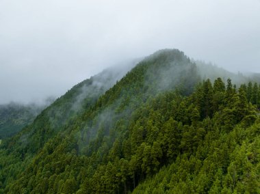 Flores Adası, Azores Takımadası, Portekiz 'deki Volkan Gölü Lagoa Rasa çevresindeki hava manzarası.