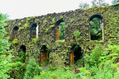 Portekiz, Azores 'te büyüyen Muro das Nove Janelas su kemeri