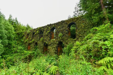 Portekiz, Azores 'te büyüyen Muro das Nove Janelas su kemeri