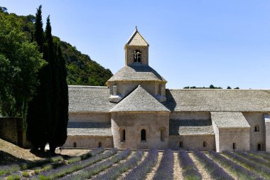 Gordes, Vaucluse, Provence, Provence-Alpes-Cote d 'Azur, Fransa' da lavanta tarlasına sahip papaz Senanque Manastırı