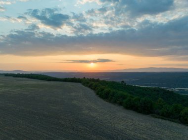 Valensole Platosu, Brunet, Alpes-de-Haute-Provence, Fransa, Avrupa boyunca lavanta tarlası.