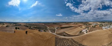 Valensole, Provence, Fransa 'da yaz mevsiminde arazi manzarası.