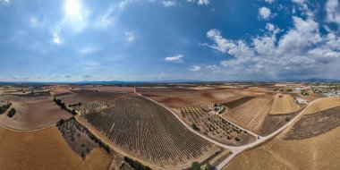 Valensole, Provence, Fransa 'da yaz mevsiminde arazi manzarası.