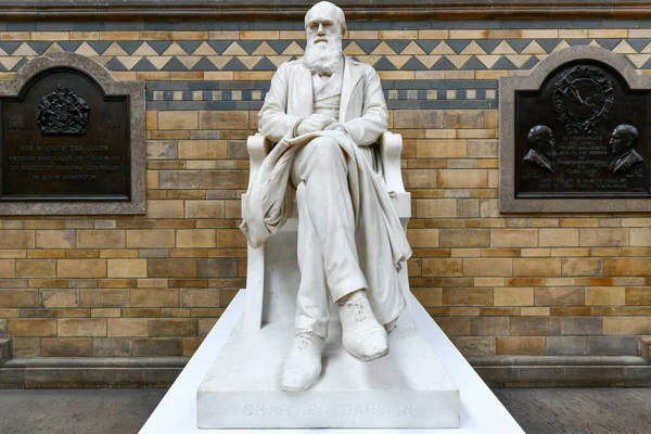 London Storbritannien Aug 2022 Staty Charles Darwin Natural History Museum Stockbild