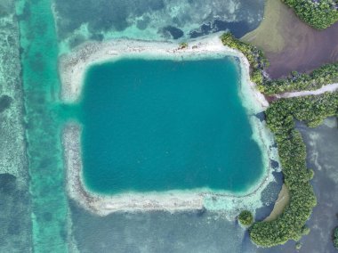 At nalı sahili ve Florida Keys sahili boyunca uzanan mavi delik manzarası..