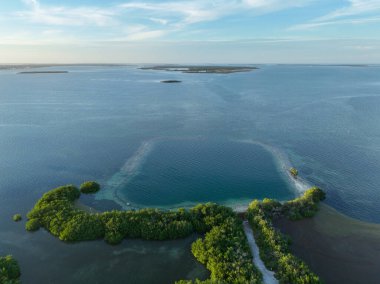 At nalı sahili ve Florida Keys sahili boyunca uzanan mavi delik manzarası..