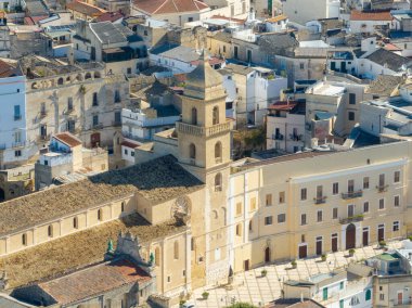 İtalya 'nın Puglia, Bari kentindeki pitoresk İtalyan kasabası Gravina' daki antik Santa Maria Assunta katedrali..