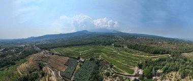 İtalya, Sicilya 'da mineral bakımından zengin lav toprağı olan Etna volkan bölgesinde yeşil üzüm bağları olan hava manzarası