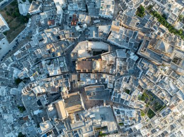 St. Vito Martyr Kilisesi (Chiesa di San Vito Martire). Apulian Rococo Katedrali. Museo di Civilt Preclassiche della Murgia Meridionale.