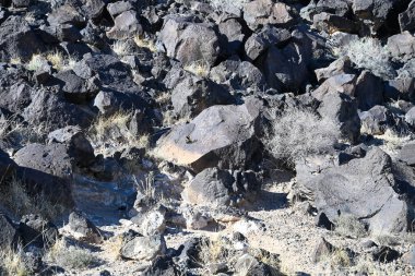 Petroglyph National Monument along West Mesa, a volcanic basalt escarpment. Petroglyph images carved by Ancestral Pueblo people. clipart