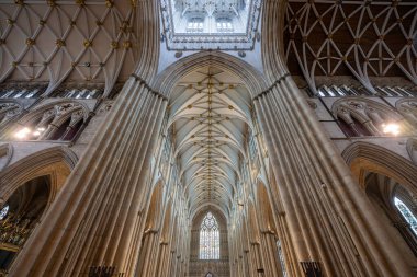 York, İngiltere - 30 Haziran 2024: York Papazı. Yorkshire, İngiltere 'deki York Katedrali.