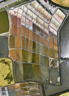 Portekiz, Aveiro 'da geleneksel tuz toplama kampı (Salinas)..