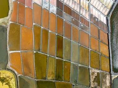 Portekiz, Aveiro 'da geleneksel tuz toplama kampı (Salinas)..