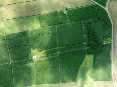 Miradouro da Serra do Cume 'un geniş panoramik manzarası Azores' deki Terceira Adası 'ndaki geniş düz alana çiftçi tarlalarının yamalı örtüsüyle bakıyor.