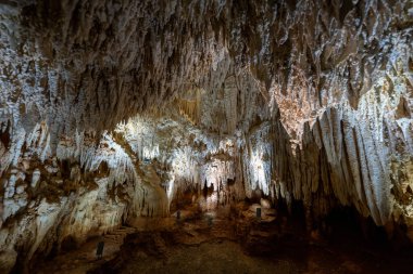 Cayman Kristal Mağaraları Büyük Cayman Adaları 'nda. Northside, Grand Cayman 'da yemyeşil bir tropikal ormanda..
