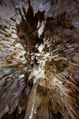 Cayman Kristal Mağaraları Büyük Cayman Adaları 'nda. Northside, Grand Cayman 'da yemyeşil bir tropikal ormanda..