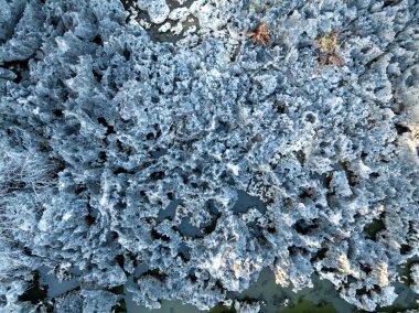 Cehennem, West Bay, Grand Cayman 'da bir bölgedir. Adı bölgedeki kısa, siyah, kireçtaşı oluşumlarından geliyor..