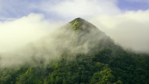 美丽的山脉和山谷景观 巴连山谷是位于印度尼西亚西新几内亚的特里科拉山脉的高山山谷 — 图库视频影像