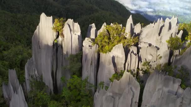 Formacja Wapiennych Wierzchołków Jest Imponującym Krajobrazem Wykonanym Ostrych Iglic Skalnych — Wideo stockowe