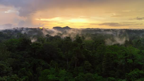 Dağların Vadilerin Dramatik Manzarası Baliem Vadisi Endonezya Nın Batısındaki Trikora — Stok video