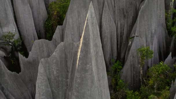 石灰岩の尖塔の形成は マレーシアのボルネオ島のGunung Mulu国立公園の周囲のジャングルから立ち上がる鋭い岩の尖塔で作られた印象的な風景です — ストック動画