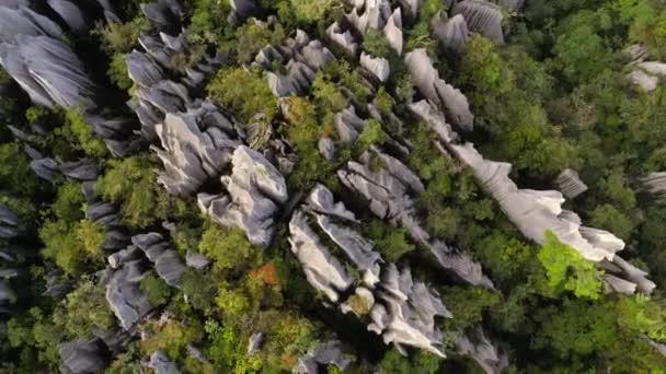 Σχηματισμός Ασβεστόλιθων Είναι Ένα Εντυπωσιακό Τοπίο Φτιαγμένο Από Αιχμηρές Πηγές — Αρχείο Βίντεο