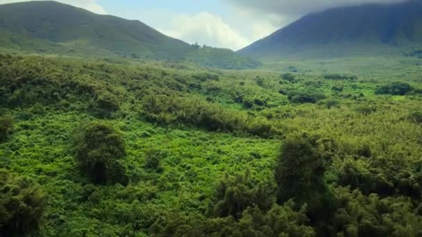 Letecká Krajina Národního Parku Sopek Rwandy Afrika — Stock video