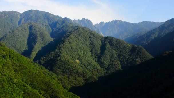 Повітряний Вид Стародавнього Лісу Національному Парку Якусіма Південна Японія — стокове відео