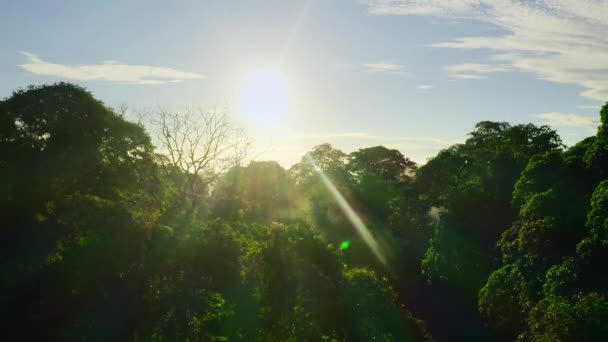 Luchtfoto Opnamen Van Weelderig Groen Guanacaste Costa Rica — Stockvideo