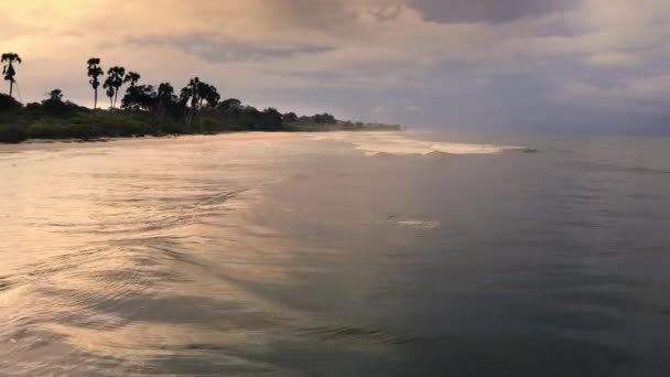 Через Хвилі Змивають Паразитів Заспокоюють Скрепи Синці Дня Атлантичному Океані — стокове відео