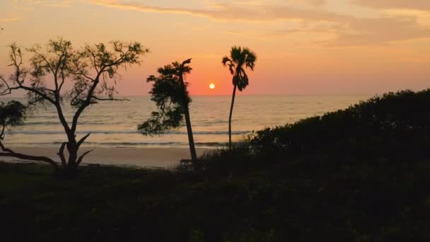 Solnedgång Vid Kusten Och Stranden Som Skyddad Loango Nationalpark Västra — Stockvideo