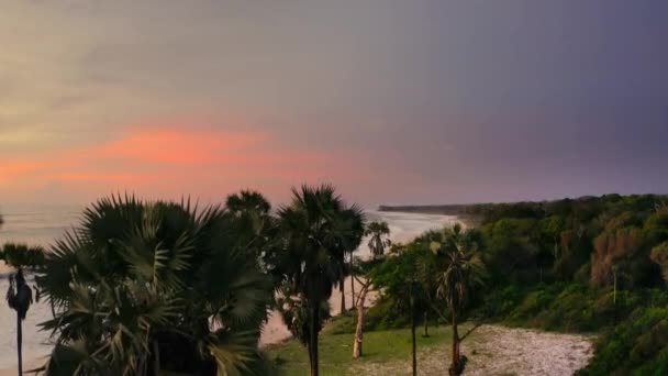 Sunset Coastal Beach Protected Loango National Park Western Gabon West — Vídeo de stock