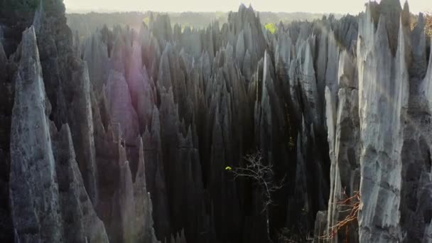 Mesmerizing Views Stone Forest Maze Craggy Razor Sharp Spires Unique — Video Stock