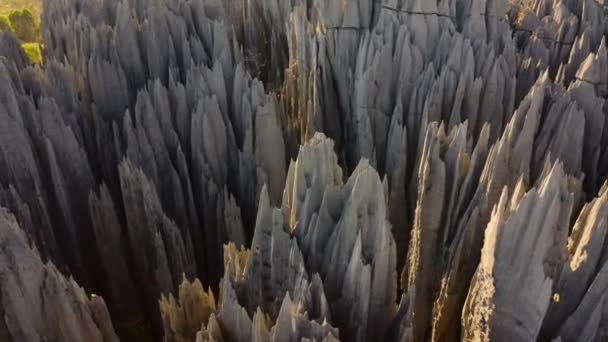 Завораживающие Виды Каменный Лес Лабиринт Острых Колючих Бритвенных Шпилей Уникальная — стоковое видео