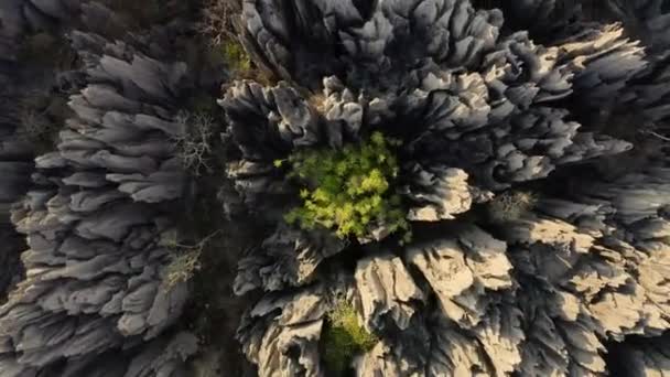 Завораживающие Виды Каменный Лес Лабиринт Острых Колючих Бритвенных Шпилей Уникальная — стоковое видео