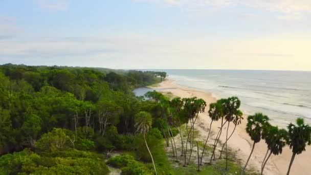 Coastal Beach Protected Loango National Park Western Gabon West Coast — ストック動画