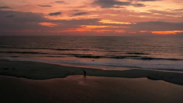 Через Хвилі Змивають Паразитів Заспокоюють Скрепи Синці Дня Атлантичному Океані — стокове відео