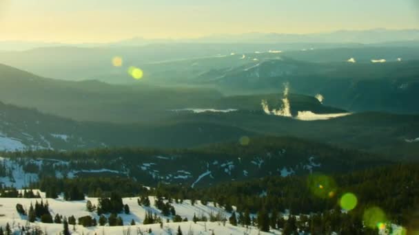 Aerial Drone Lush Green Forest Rocky Mountains Yellowstone Western United — Stock Video