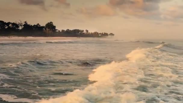 波のために波が寄生虫を洗い流し 大西洋での一日の傷や傷を和らげるので ヒッポスは波のためにまっすぐに向かいます アフリカの西海岸のガボン西部にあるロアンゴ国立公園 — ストック動画