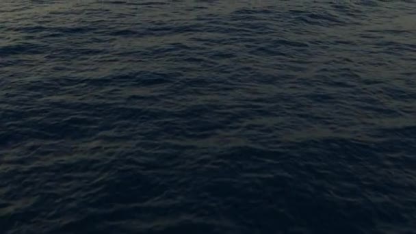 Вид Воздуха Остров Заливе Моссель Меховыми Тюленями Юар — стоковое видео