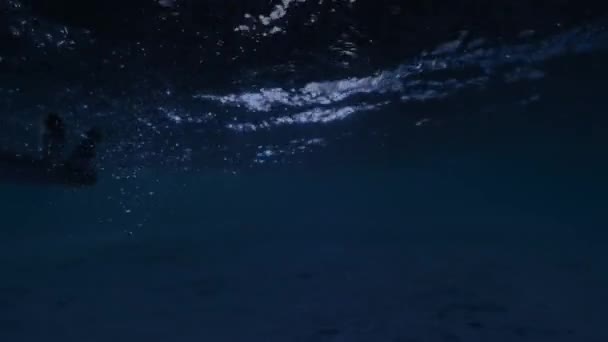 Baby Sea Sköldpaddor Kläckning Krypa Den Vita Sandstranden Mot Havet — Stockvideo