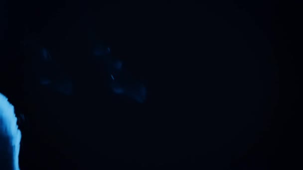 在黑暗中发光的海豚利用灯光帮助它们捕猎 日本鸟山湾 — 图库视频影像