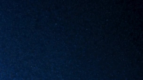 Покриття Личинок Риби Крабів Омарів Медуз Званих Зоопланктонів Піднімається Щоб — стокове відео