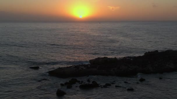Widok Lotu Ptaka Wyspę Zatoce Mossel Futrzanymi Plombami Zachodzie Słońca — Wideo stockowe
