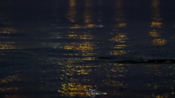 Sillhouette Otaries Fourrure Nageant Dans Océan Nuit Mossel Bay Afrique — Video