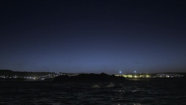 Sillhouette Focas Pele Nadando Oceano Noite Mossel Bay África Sul — Vídeo de Stock