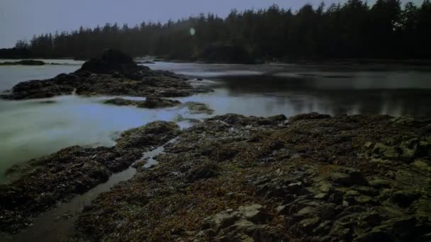 Timelapse Wód Pływowych Które Przechodzą Przez Skałę Tworząc Baseny Skalne — Wideo stockowe