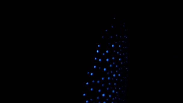 Крупный План Самки Светлячка Кальмара Поднимаются Поверхность Ночью Тояма Бей — стоковое видео